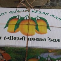 12985352_1702962739953016_7514154125884416340_n