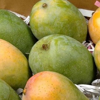 Kesar Mango Online Kesar Mango Online